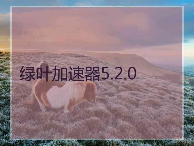 绿叶加速器5.2.0