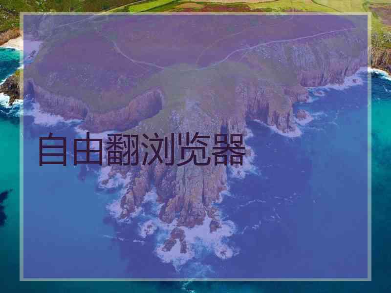 自由翻浏览器