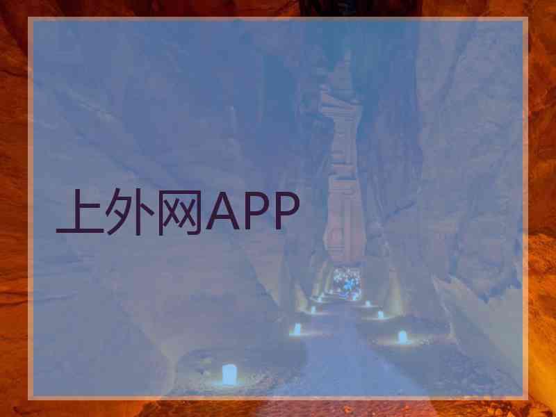 上外网APP