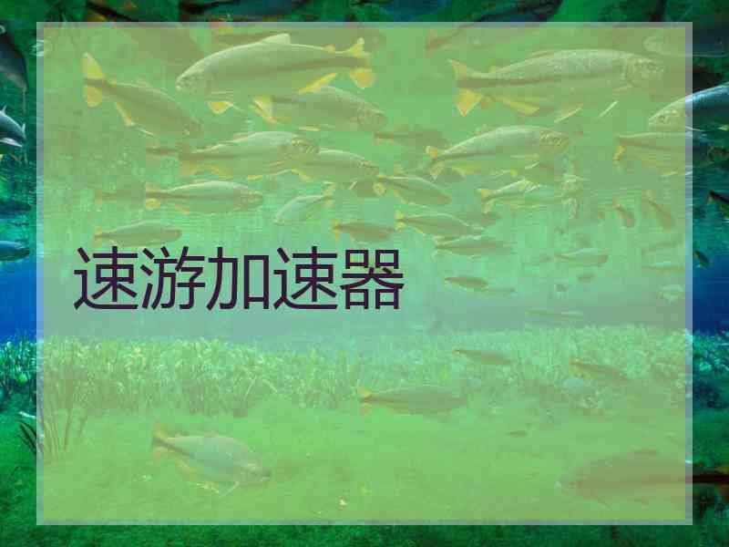 速游加速器