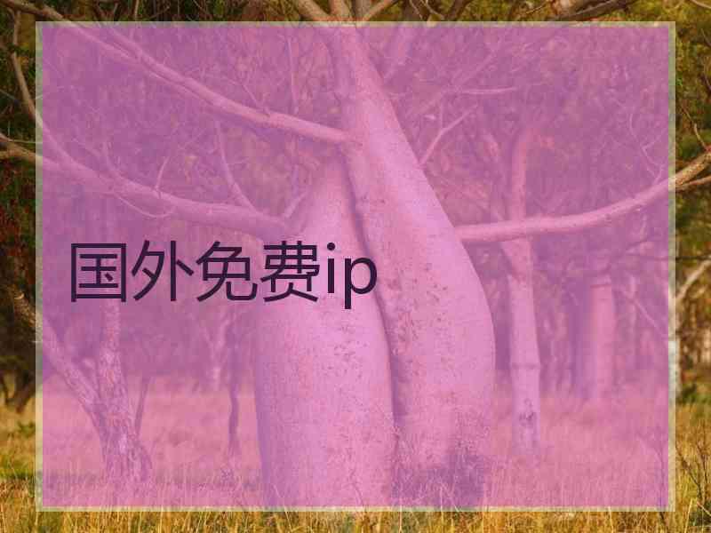 国外免费ip