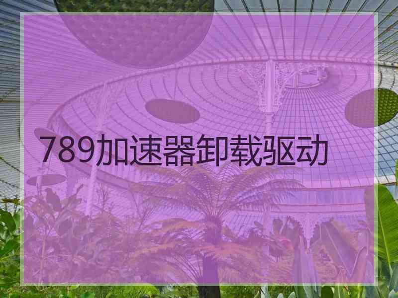 789加速器卸载驱动