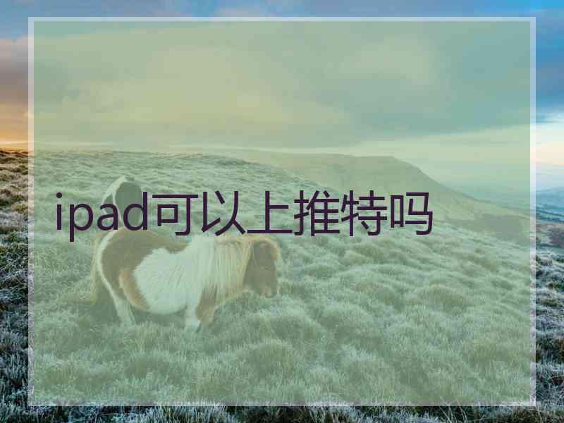 ipad可以上推特吗