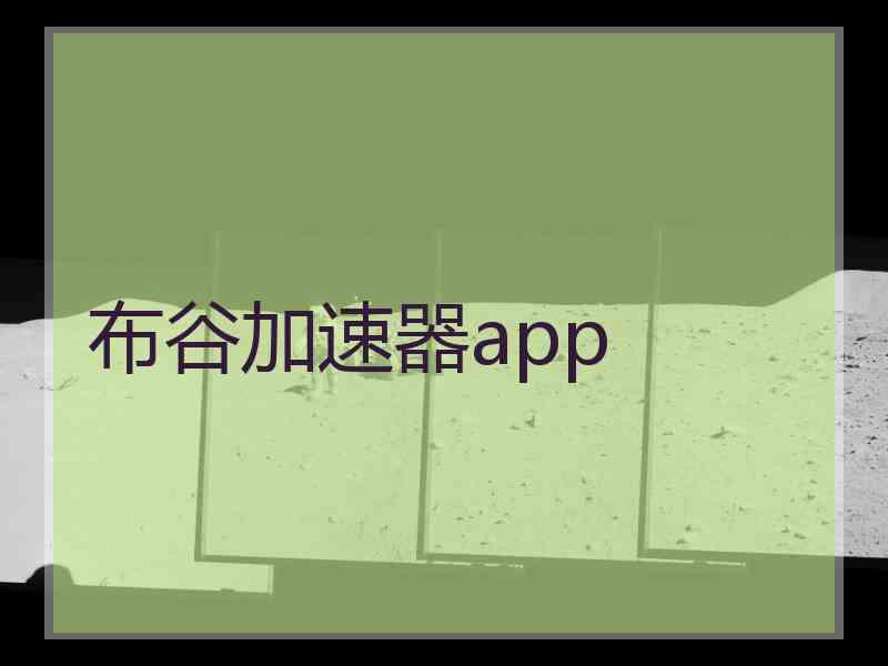 布谷加速器app