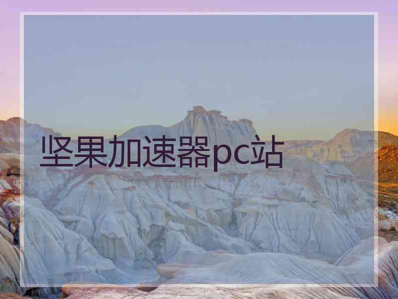 坚果加速器pc站