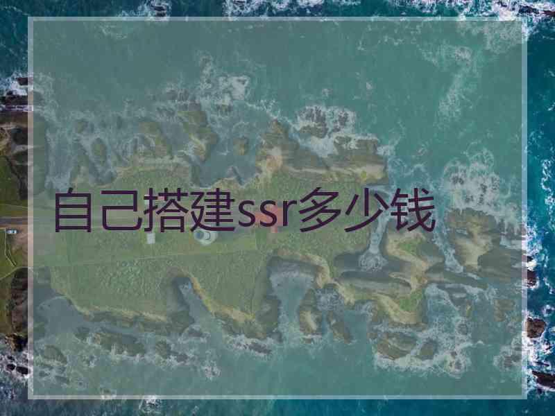 自己搭建ssr多少钱