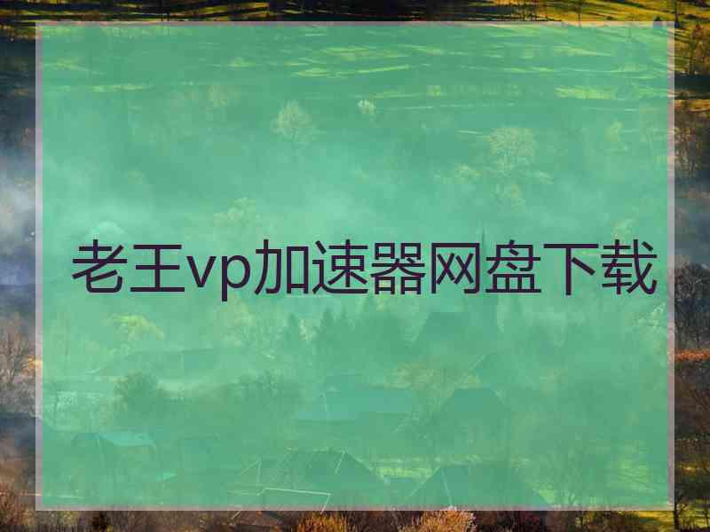 老王vp加速器网盘下载