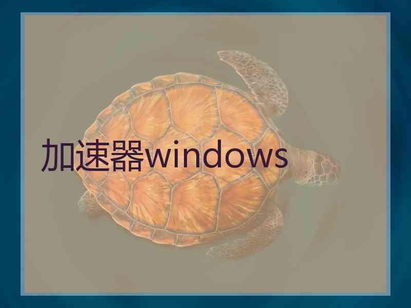 加速器windows