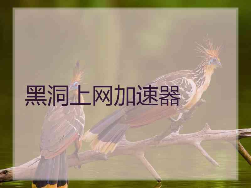 黑洞上网加速器