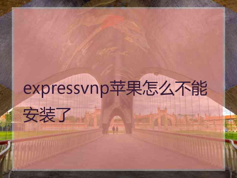 expressvnp苹果怎么不能安装了