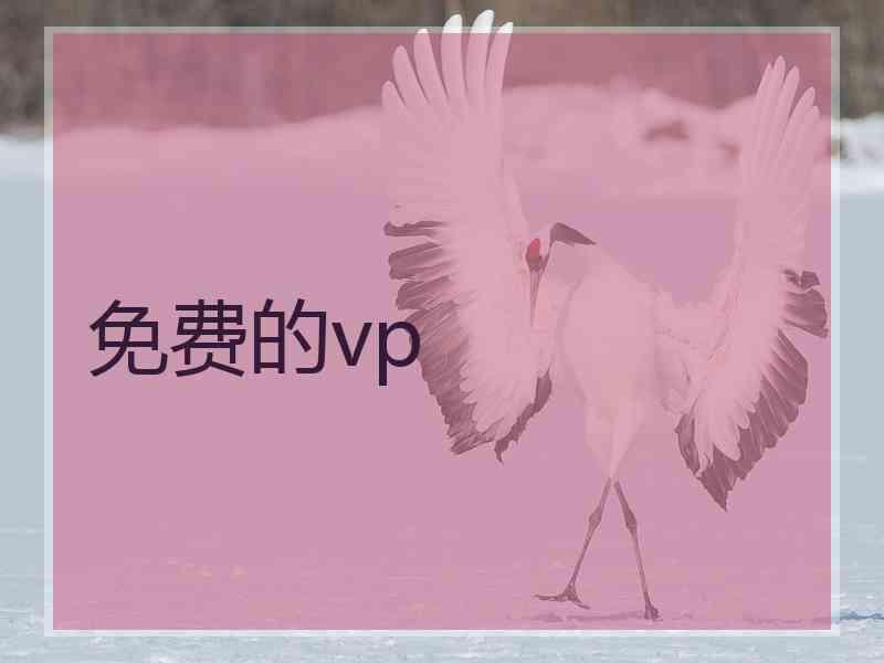 免费的vp