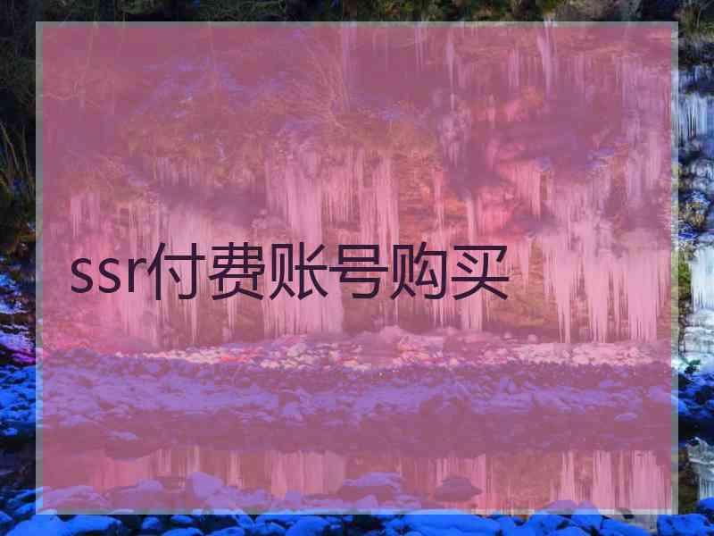 ssr付费账号购买