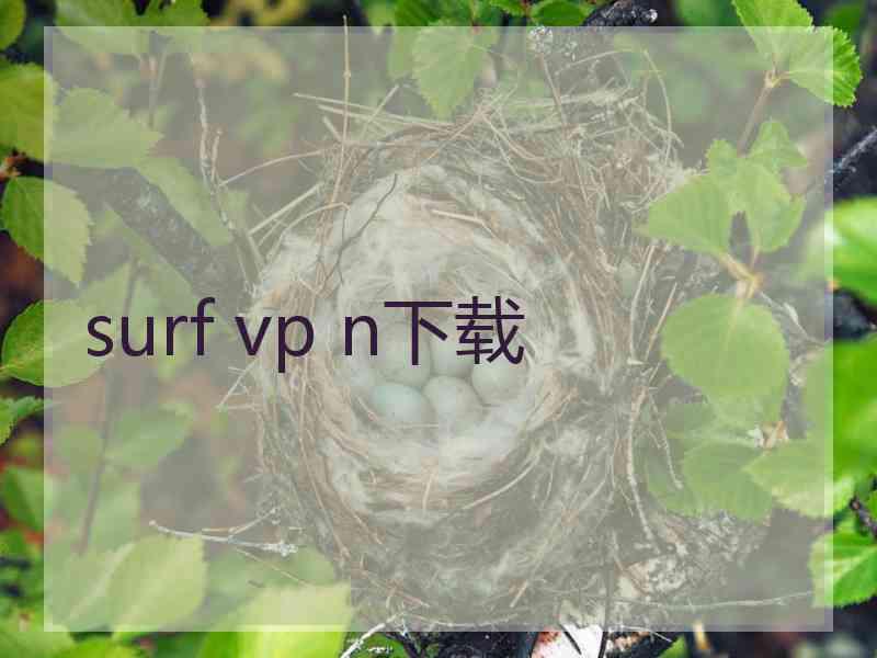 surf vp n下载