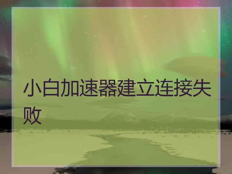 小白加速器建立连接失败