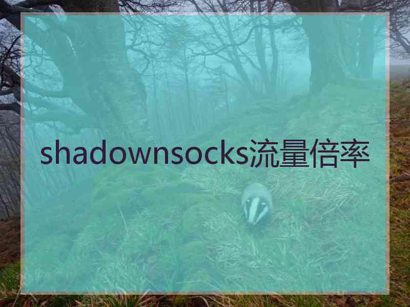 shadownsocks流量倍率