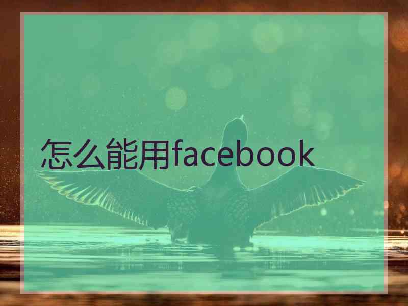 怎么能用facebook