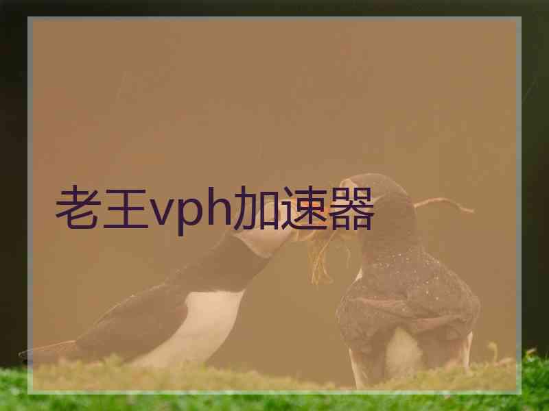 老王vph加速器