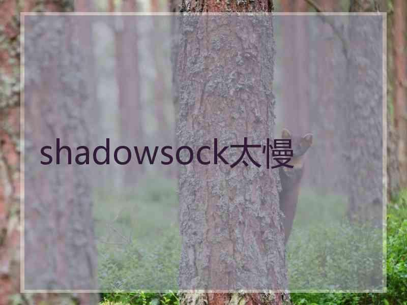 shadowsock太慢