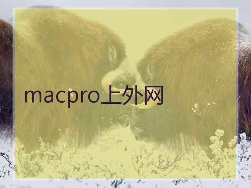 macpro上外网