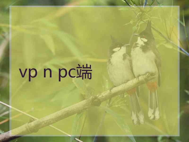 vp n pc端