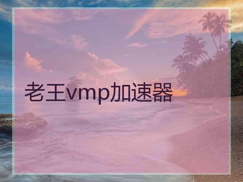 老王vmp加速器