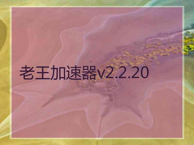 老王加速器v2.2.20