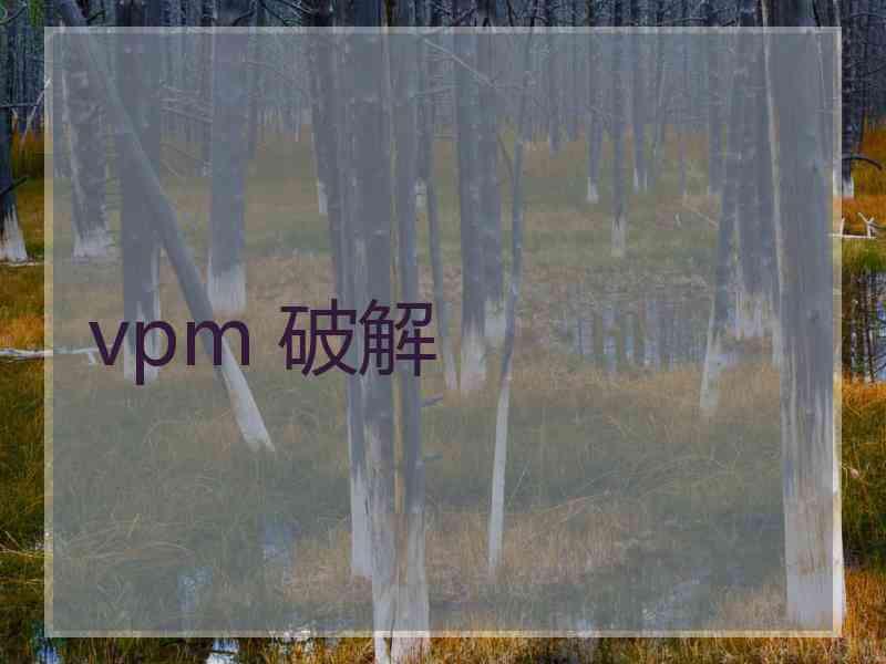 vpm 破解