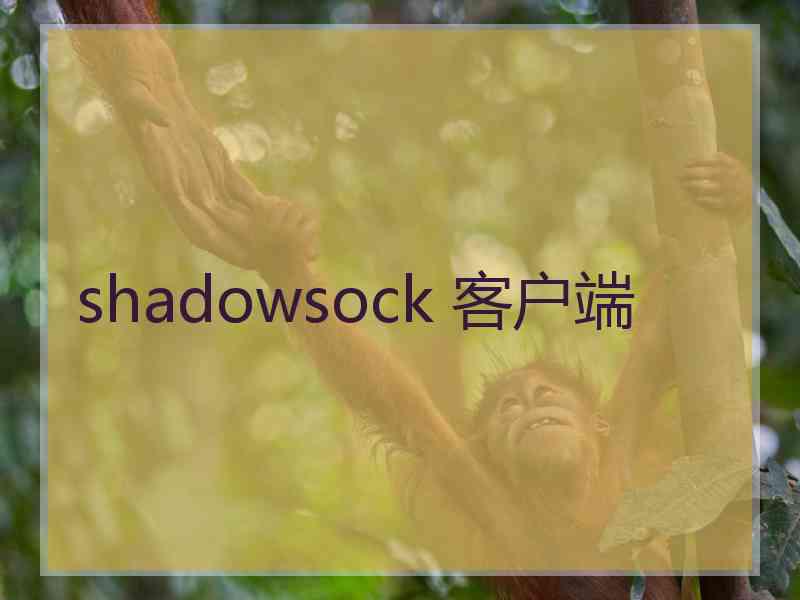 shadowsock 客户端