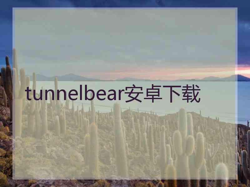 tunnelbear安卓下载