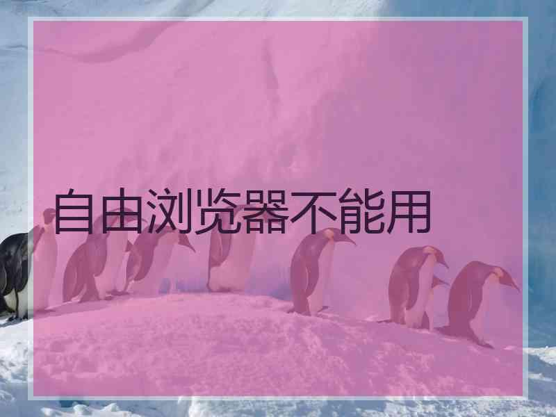 自由浏览器不能用