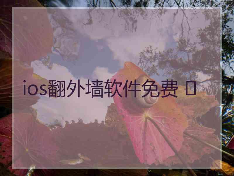 ios翻外墙软件免费 	