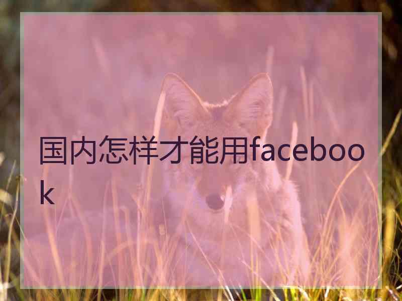 国内怎样才能用facebook