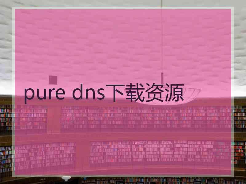 pure dns下载资源