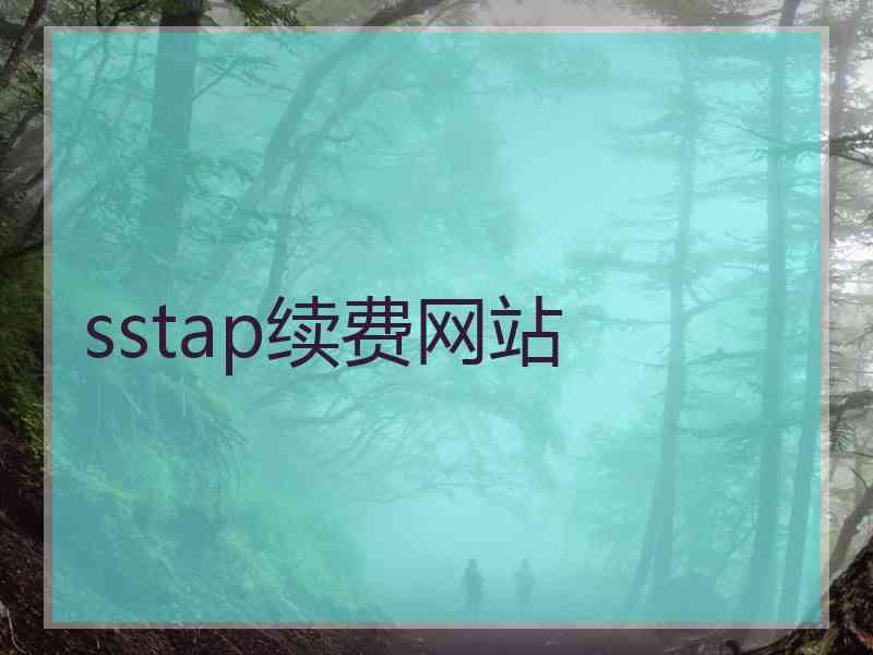 sstap续费网站