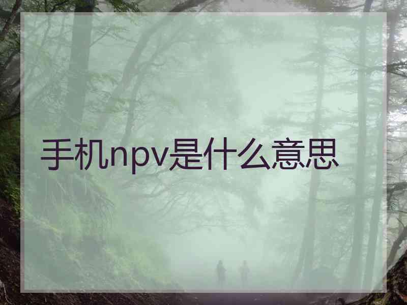 手机npv是什么意思