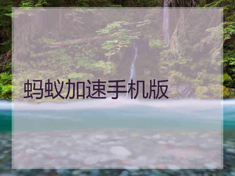 蚂蚁加速手机版