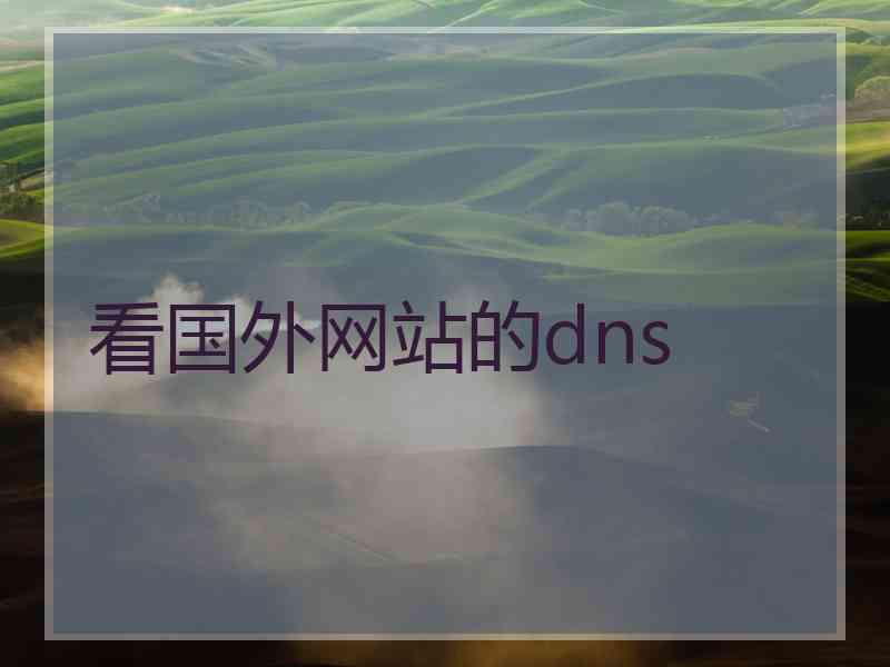 看国外网站的dns