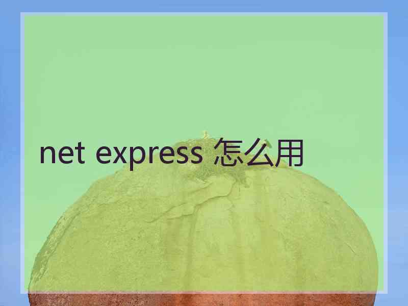 net express 怎么用