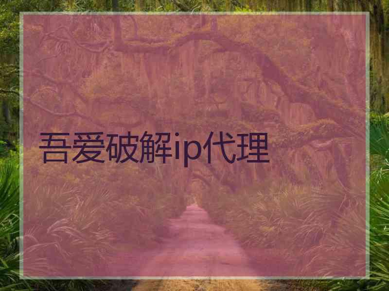 吾爱破解ip代理