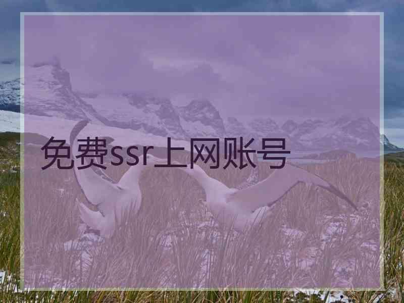 免费ssr上网账号