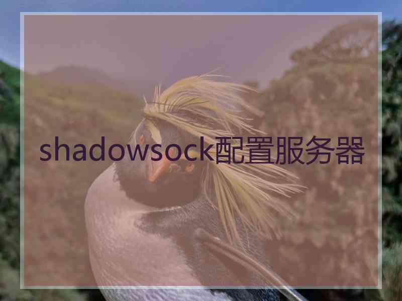 shadowsock配置服务器