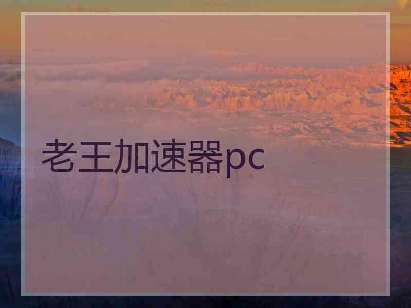 老王加速器pc