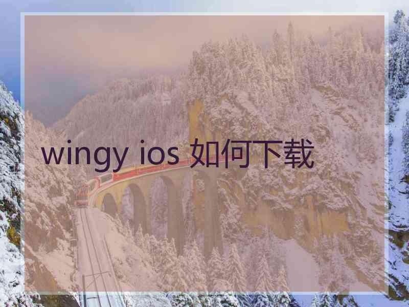 wingy ios 如何下载