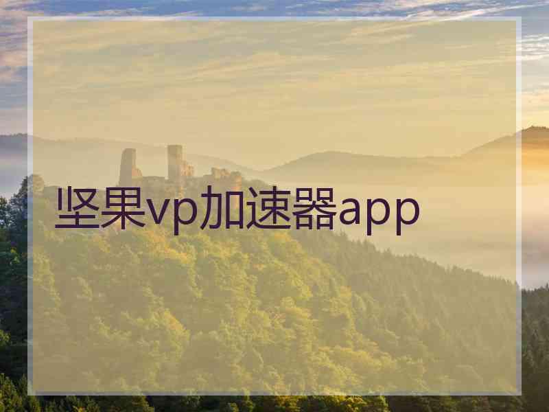 坚果vp加速器app