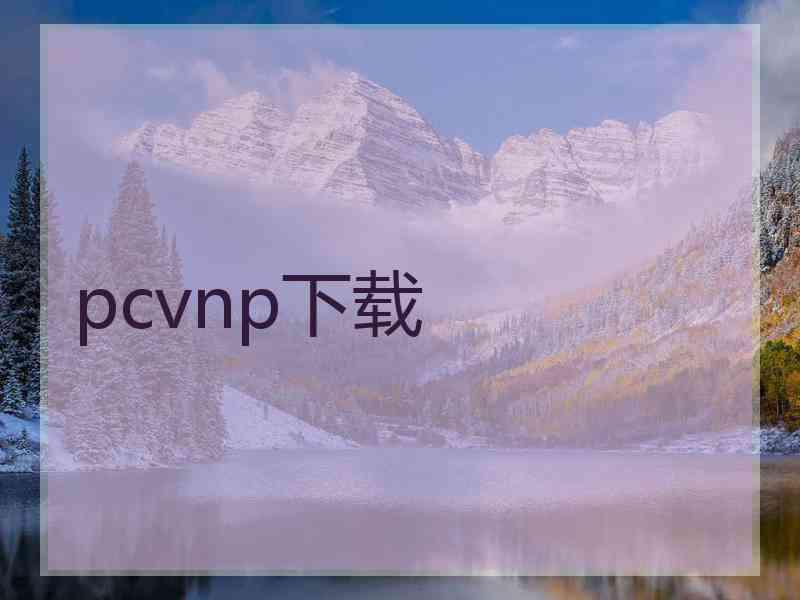 pcvnp下载