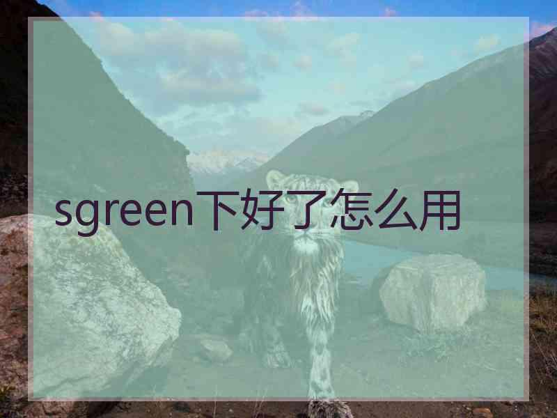 sgreen下好了怎么用