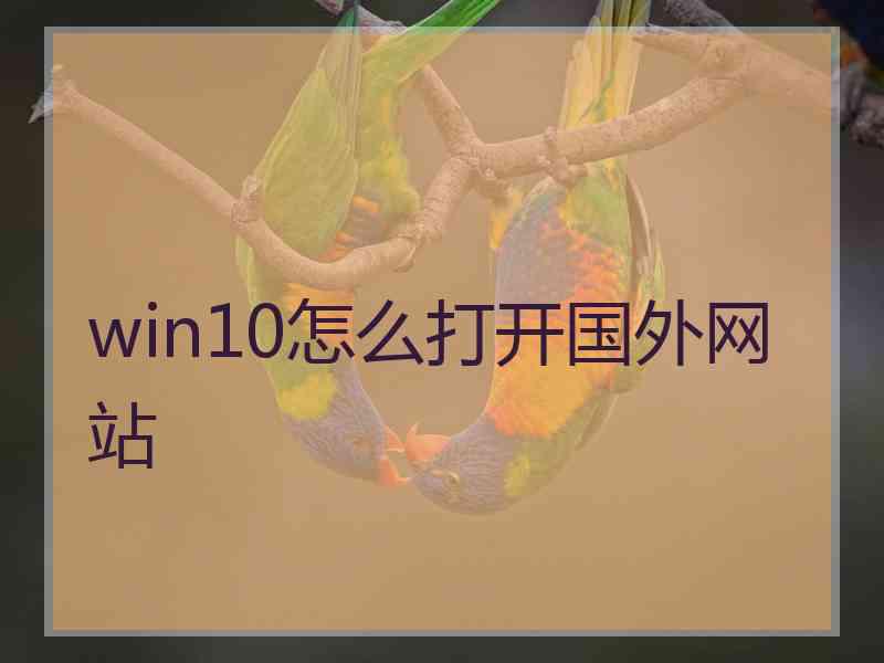 win10怎么打开国外网站