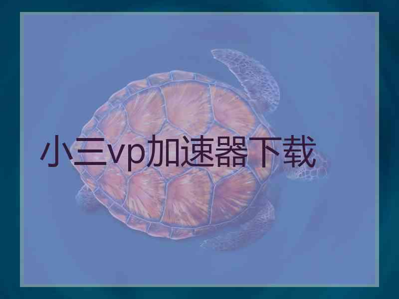 小三vp加速器下载