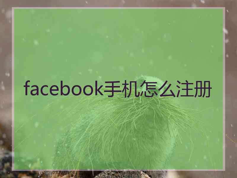 facebook手机怎么注册