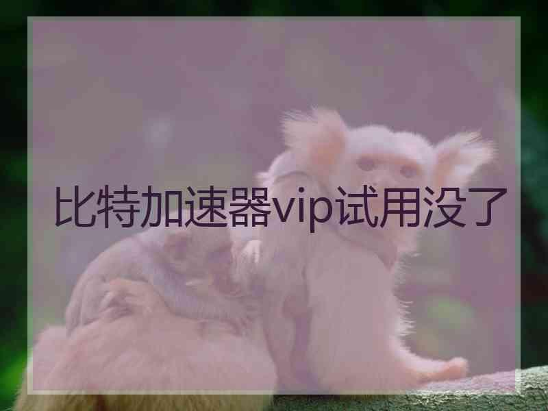 比特加速器vip试用没了